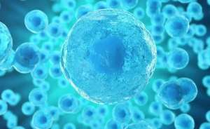 羊胎素和干细胞哪个抗衰更好？